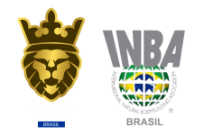 Logotipo + Inba